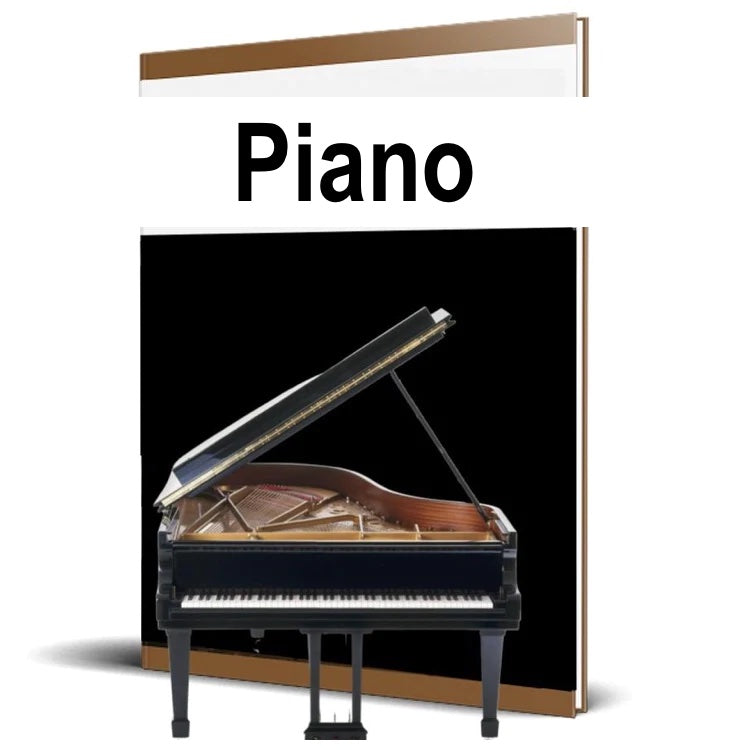 Accelerated Piano Adventures Level 1 Learning Set By India