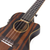 Kalena Thinline Java Ebony Tenor FX Ukulele