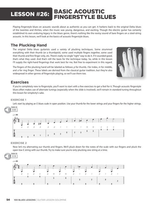 100 Blues Lessons Guitar Lesson Goldmine Series - Kalena