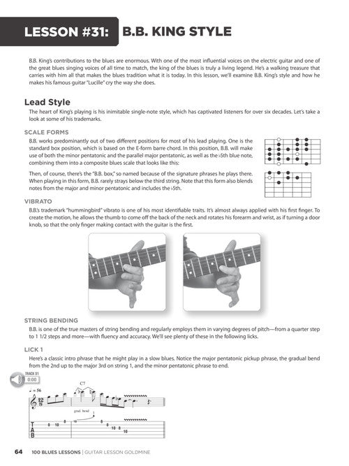 100 Blues Lessons Guitar Lesson Goldmine Series - Kalena