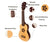 Kalena Keiki Basswood Top Soprano Ukulele Starter Set Plumeria Edition - Kalena Instruments /