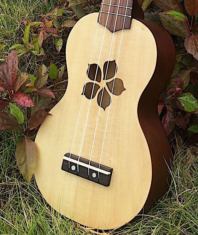 Kalena Keiki Basswood Top Soprano Ukulele Starter Set Plumeria Edition - Kalena Instruments / Natural Basswood Matte