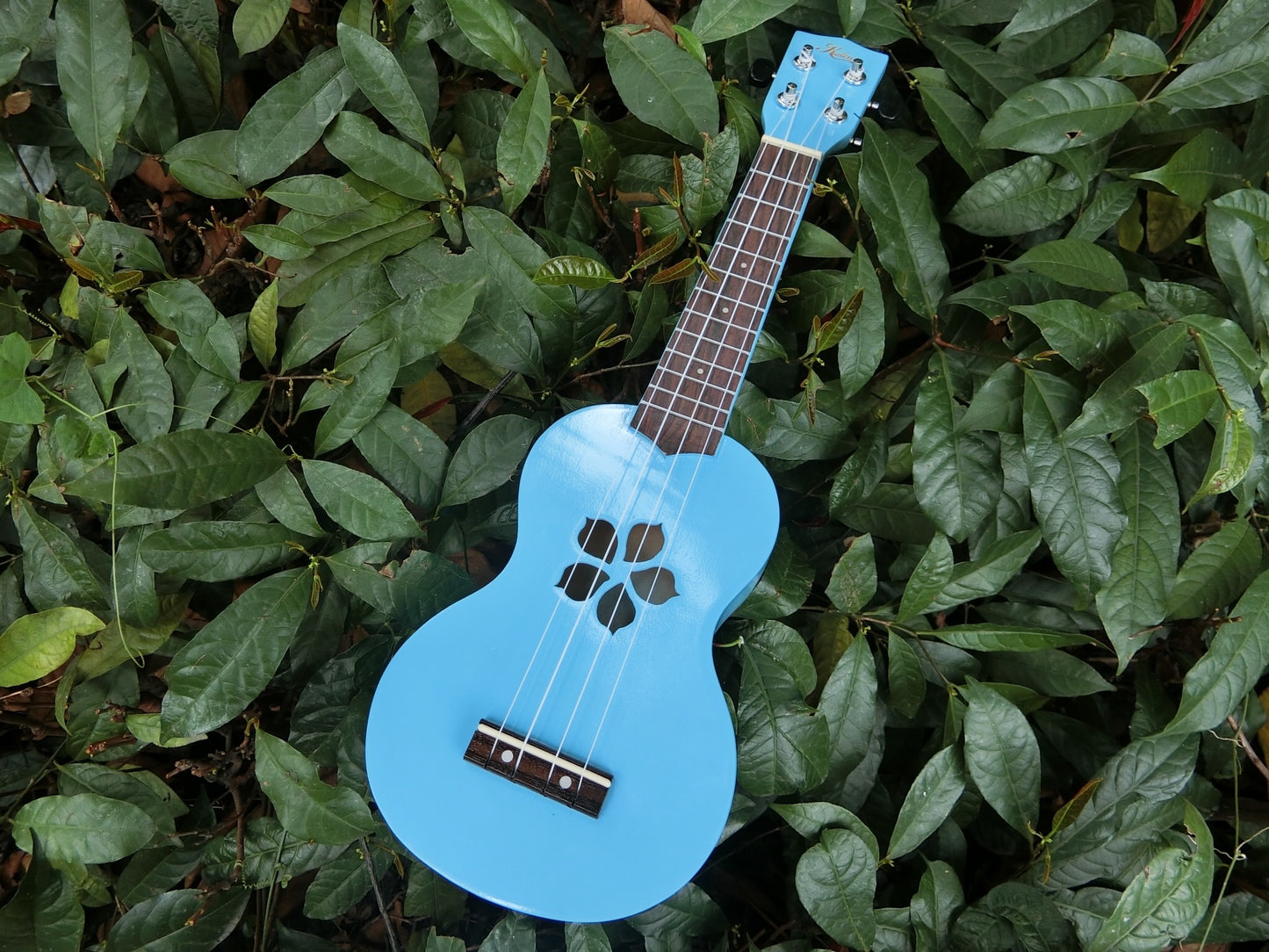 Kalena Keiki Basswood Top Soprano Ukulele Starter Set Plumeria Edition - Kalena Instruments / Blue Gloss