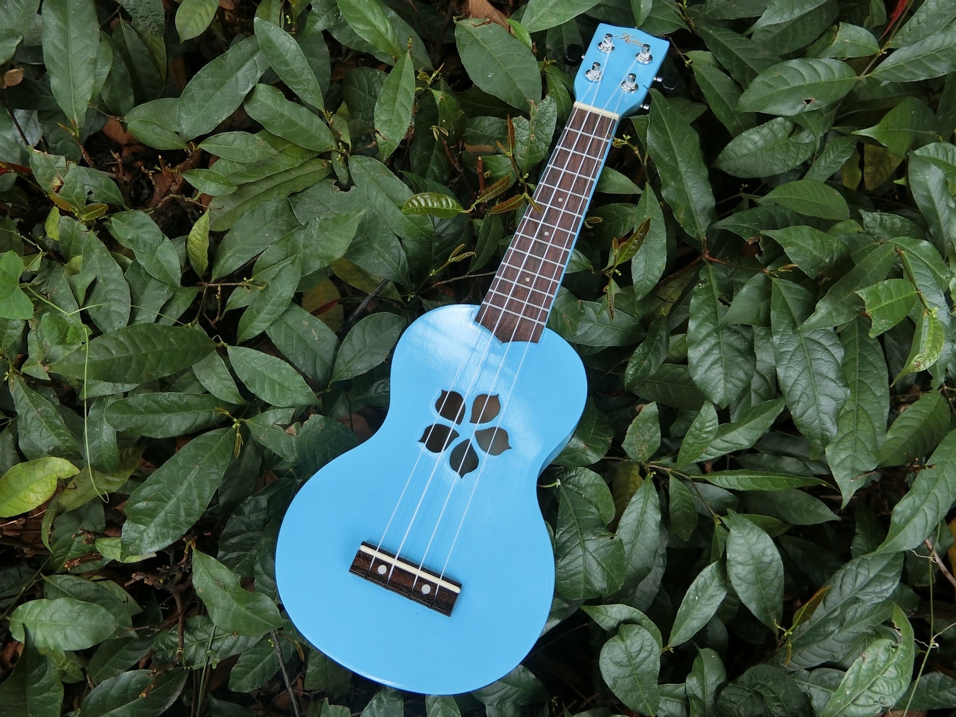 Kalena Keiki Basswood Top Soprano Ukulele Starter Set Plumeria Edition - Kalena Instruments / Blue Gloss