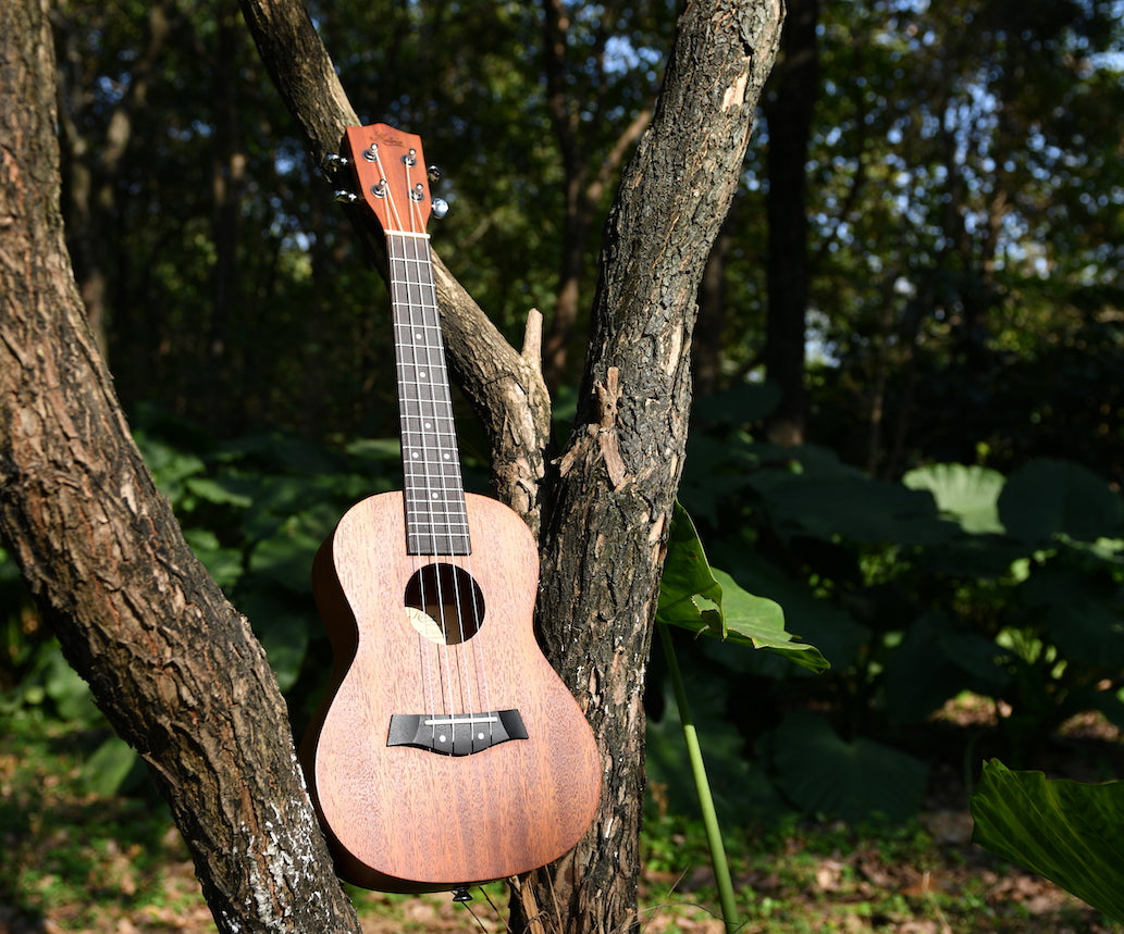 Kalena Mahogany Ukulele Traditional Complete Set - Kalena Instruments / Warm Mahogany