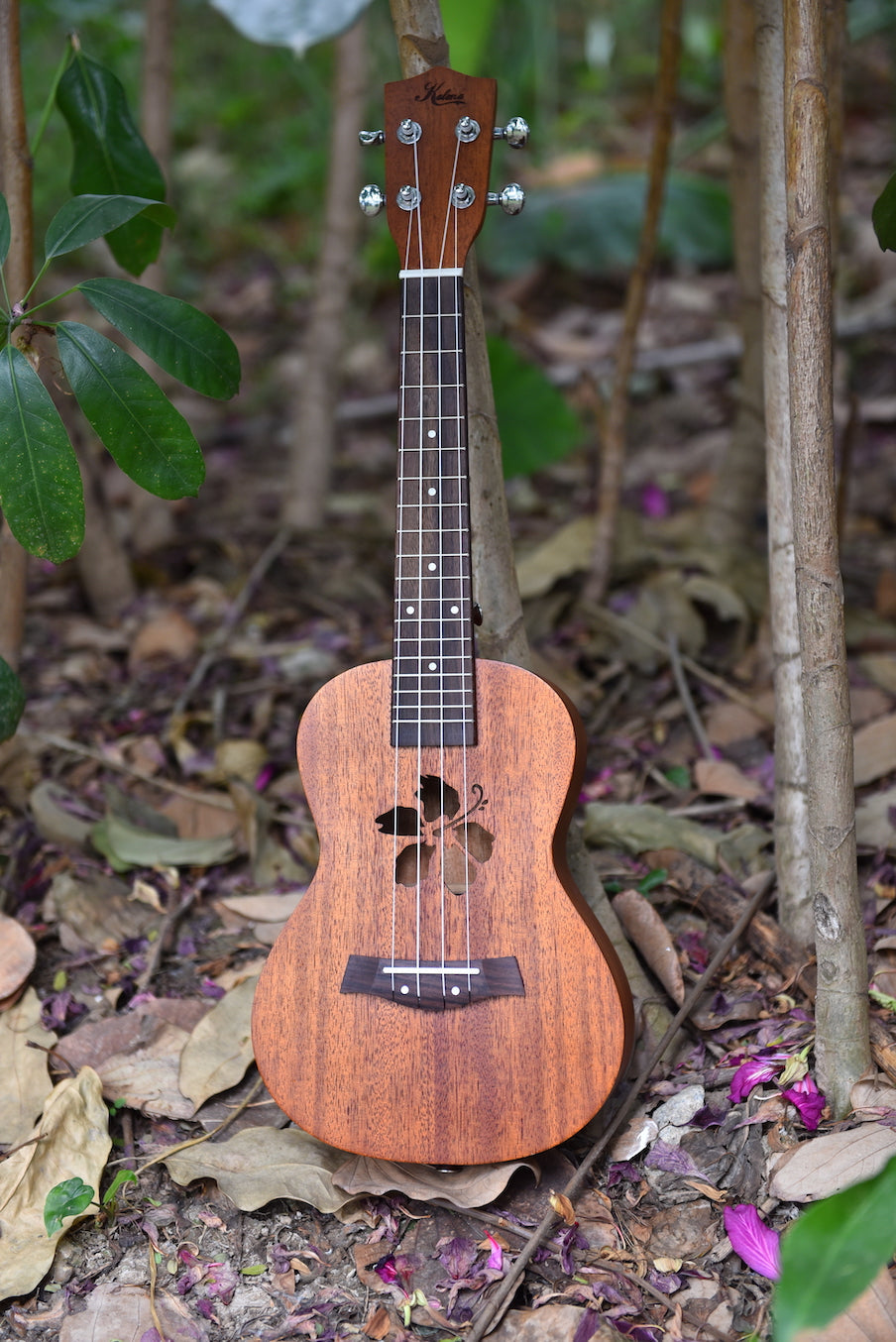 Kalena Mahogany Ukulele Hibiscus Edition Complete Set - Kalena Instruments / Warm Mahogany