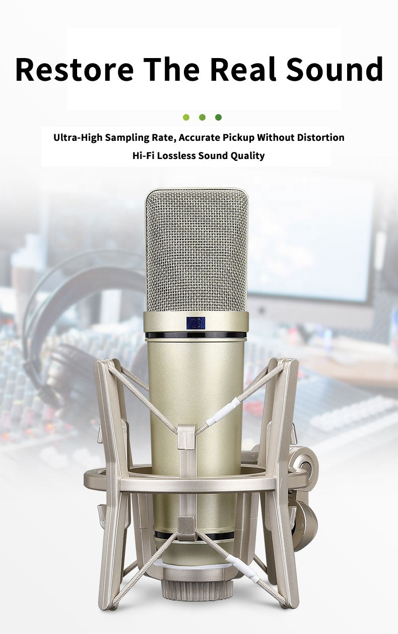 Professional Studio Large Condenser Microphone