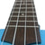 Kalena Keiki Basswood Top Soprano Ukulele Starter Set Plumeria Edition - Kalena Instruments / Blue Gloss