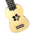 Kalena Keiki Basswood Top Soprano Ukulele Starter Set Plumeria Edition - Kalena Instruments / Natural Basswood Matte