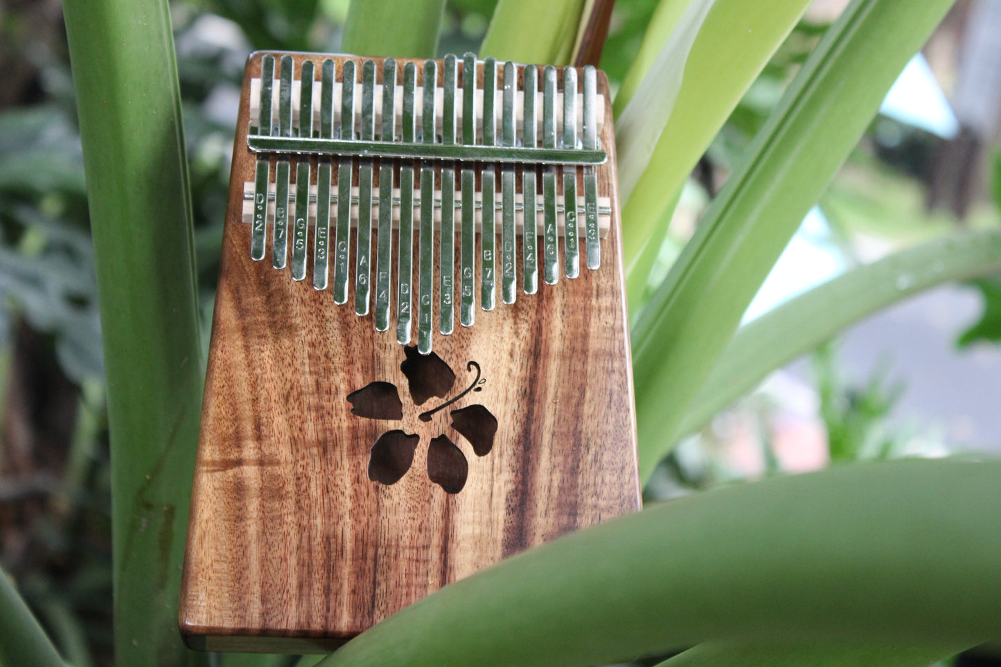 Kalena 17 key Solid Acacia Kalimba (hibiscus) with Gig Bag - Kalena Instruments