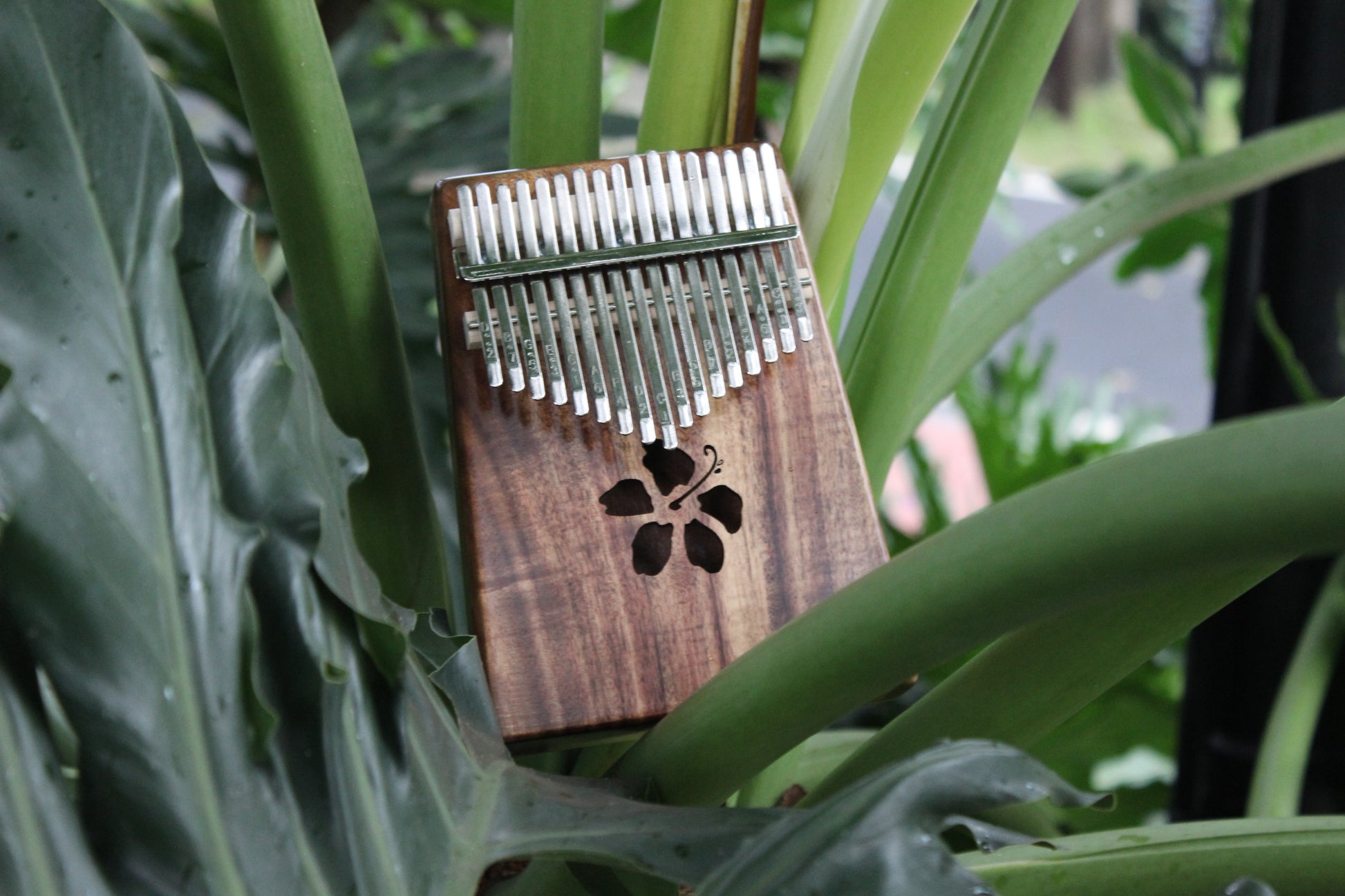 Kalena 17 key Solid Acacia Kalimba (hibiscus) with Gig Bag - Kalena Instruments