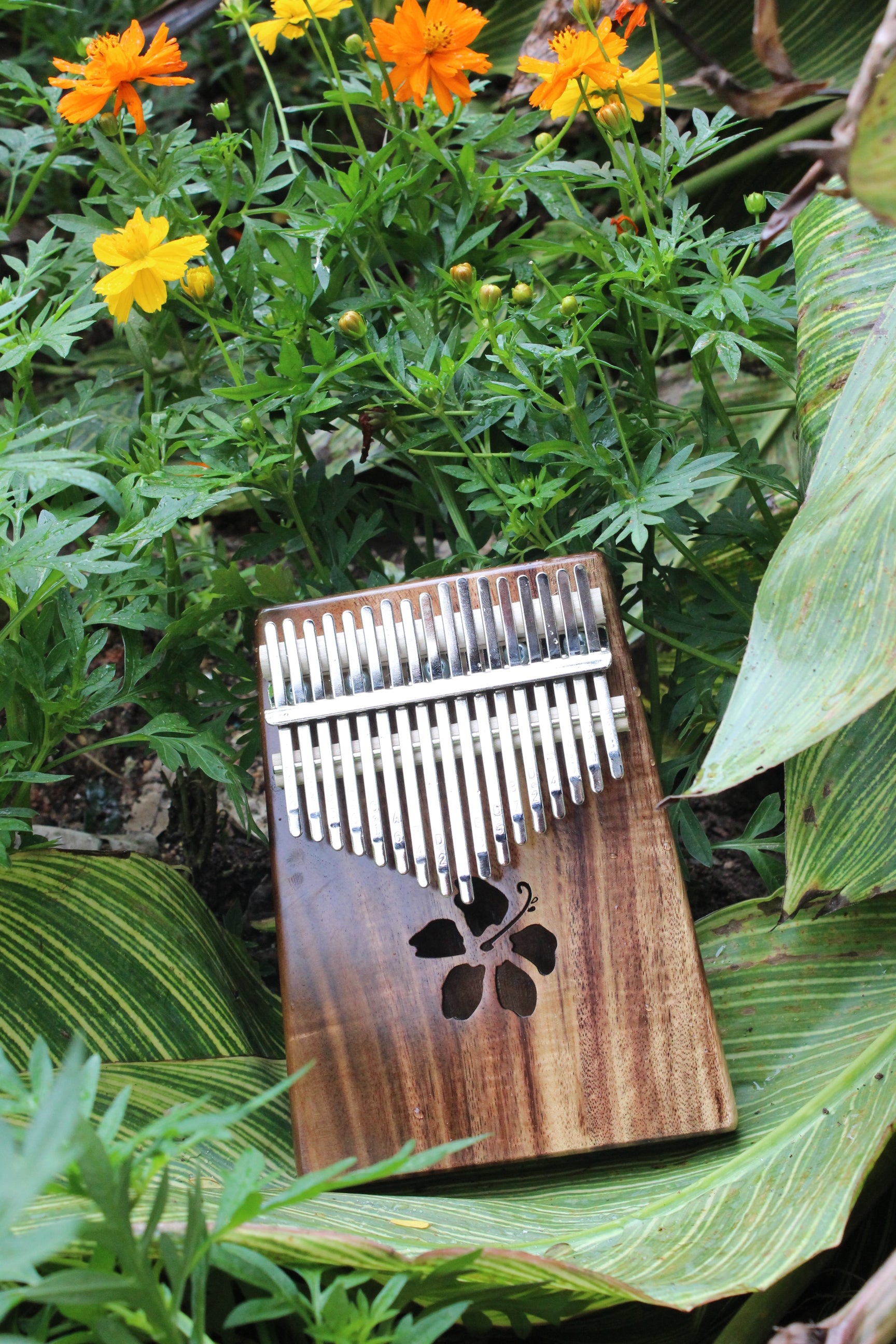 Kalena 17 key Solid Acacia Kalimba (hibiscus) with Gig Bag - Kalena Instruments