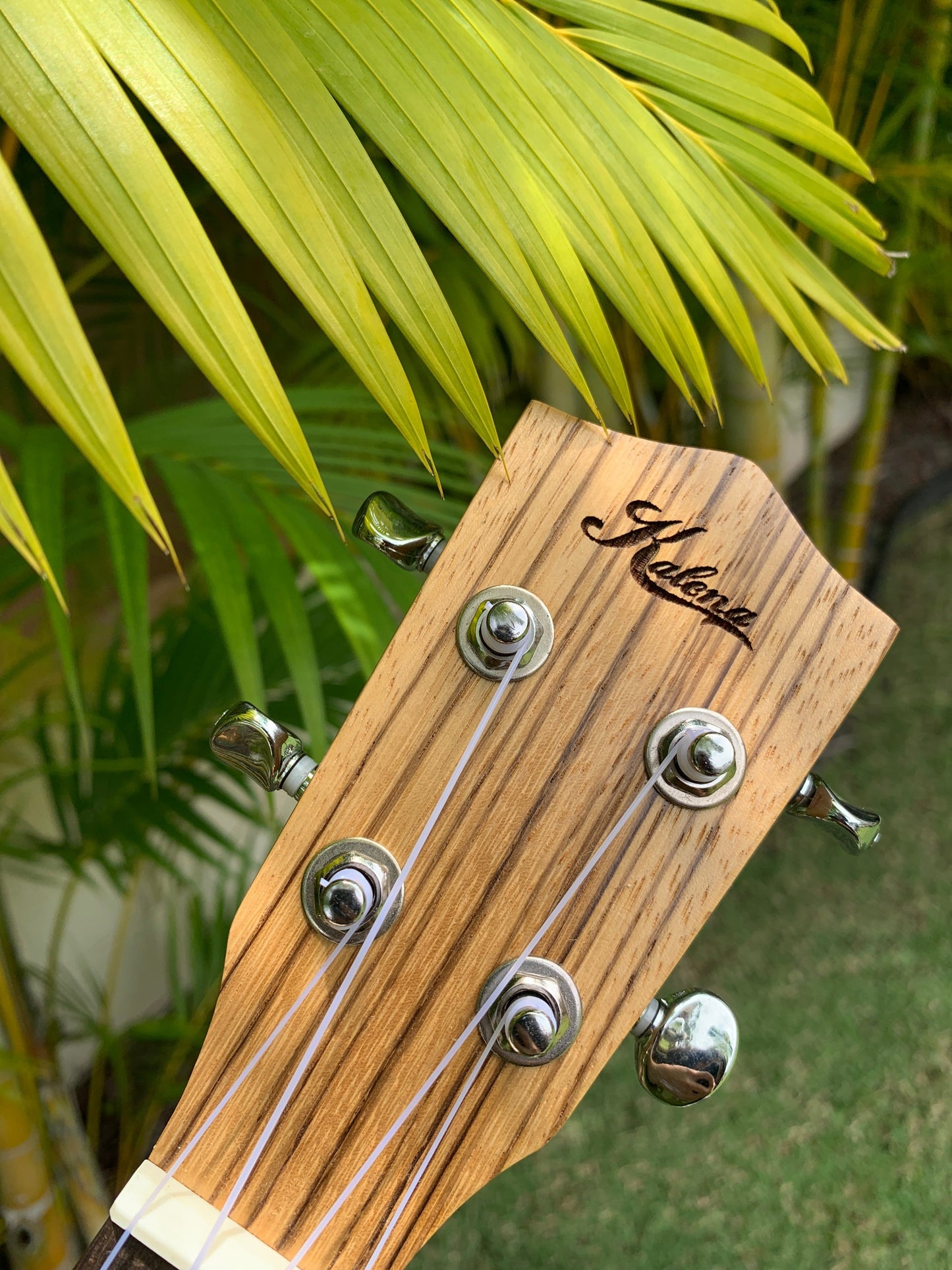 Kalena Zebrawood Ukulele with EQ Complete Set - Kalena Instruments / 21" Soprano