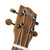 Kalena SA26PEQ Performance Series All Solid Tenor Acacia Cutaway Armrest EQ Pickup Ukulele