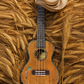 Kalena Solid Mahogany Top Concert Ukulele Hawaiian Islands Abalone Inlay Complete Set