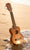 Kalena LM series Soprano Mahogany Ukulele Turtle inlay Traditional