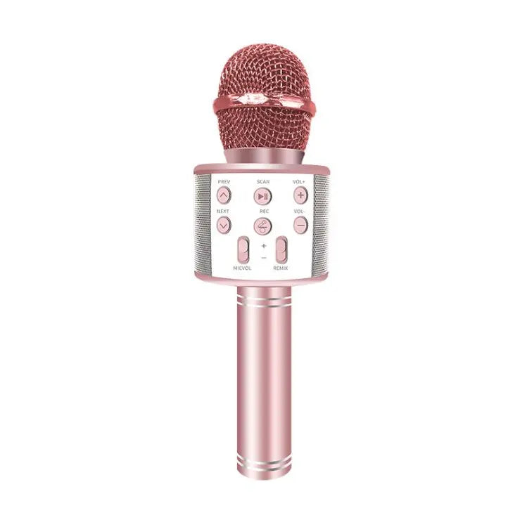 handheld KTV home portable speaker karaoke microphone for singing