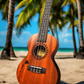 Kalena Hawaiian Islands Edition Tenor FX Ukulele Thinline Complete Set