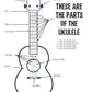 Kid's Uke – Ukulele Activity Fun Book Kev's Learn & Play Series