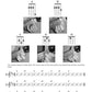 Hal Leonard Ukulele Method Book 2