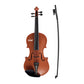 Beautiful Melody Violin ABS VIOLIN for kids - Kalena