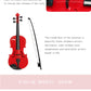 Beautiful Melody Violin ABS VIOLIN for kids - Kalena