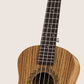 Kalena Tenor Zebrawood Ukulele with EQ Pickup Complete Set