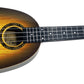 Kalena ABS Pineapple 23” Concert Ukulele with padded case - Kalena Instruments / Sunburst ABS