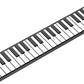 49 Keys Roll Up Piano K-PM49 - Kalena