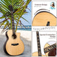 Kalena 306FX Solid Spruce Top Rosewood back Acoustic guitar with FX Complete Set