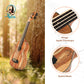 Kalena Spalted Maple fretless Bass Ukulele with eq and case