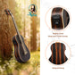 Kalena Java Ebony fretless Bass Ukulele with eq and Padded Gig Bag