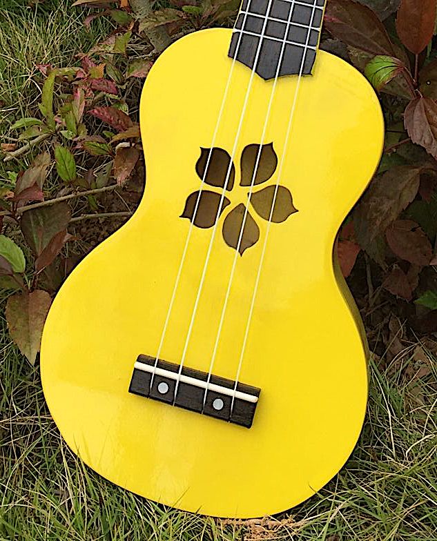 Kalena Keiki Basswood Top Soprano Ukulele Starter Set Plumeria Edition - Kalena Instruments / Yellow