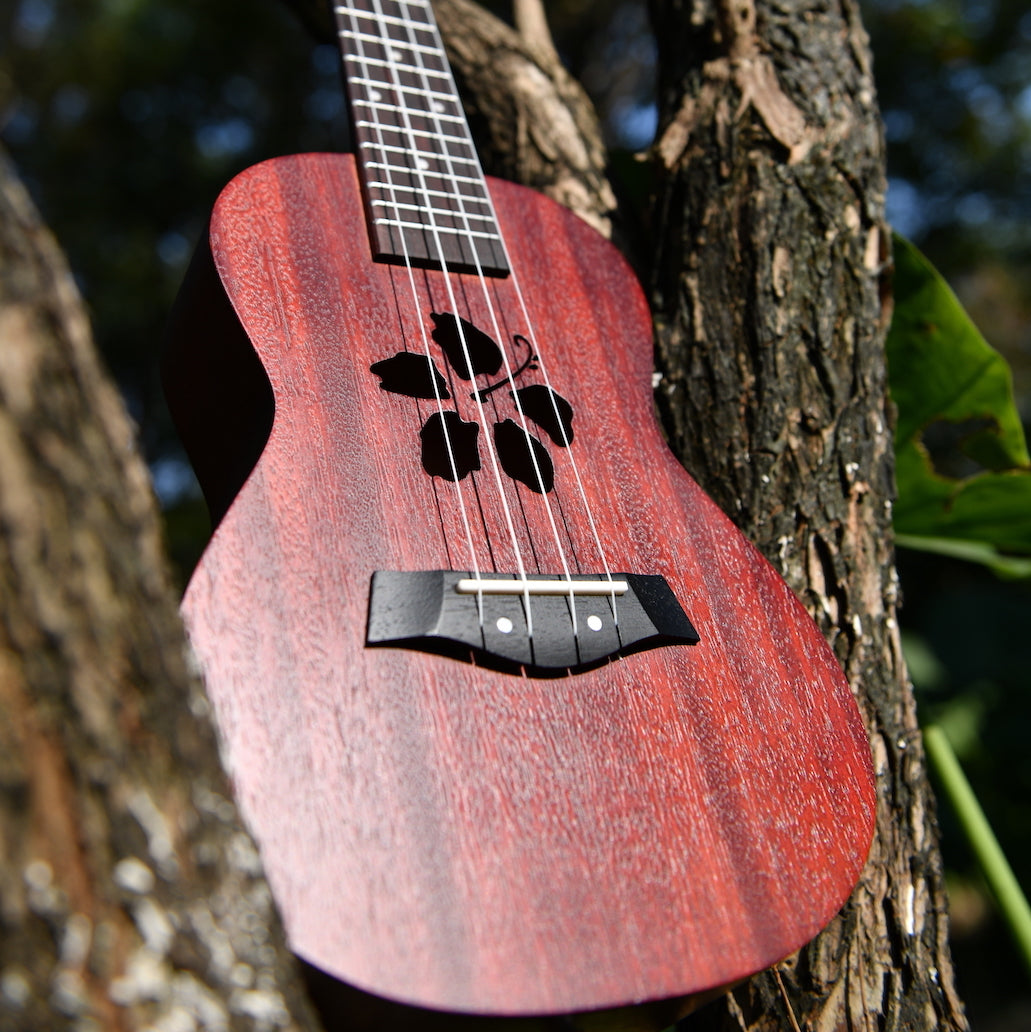 Kalena Mahogany Ukulele Hibiscus Edition Complete Set - Kalena Instruments / LavaRock Red