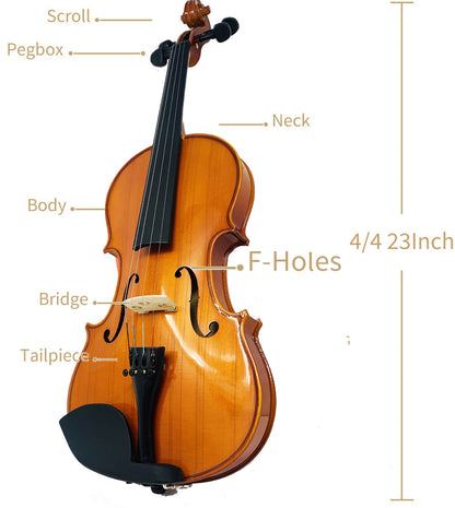 Kalena Spruce Top Violin 4/4 size includes hard case with bow, shoulder rest and rosin