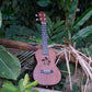 Kalena Moonlight Sapele Ukulele Hibiscus Edition (Complete Set) - Kalena Instruments