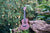 Kalena Moonlight Sapele Ukulele Hibiscus Edition (Complete Set) - Kalena Instruments