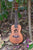 Kalena Mahogany Ukulele Hibiscus Edition Complete Set - Kalena Instruments / Warm Mahogany