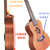 Kalena Mahogany Ukulele Hibiscus Edition Complete Set - Kalena Instruments