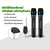 D600 Wireless Rechargeable Microphones with ECHO and Bluetooth - Kalena