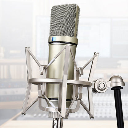 Professional Studio Large Condenser Microphone
