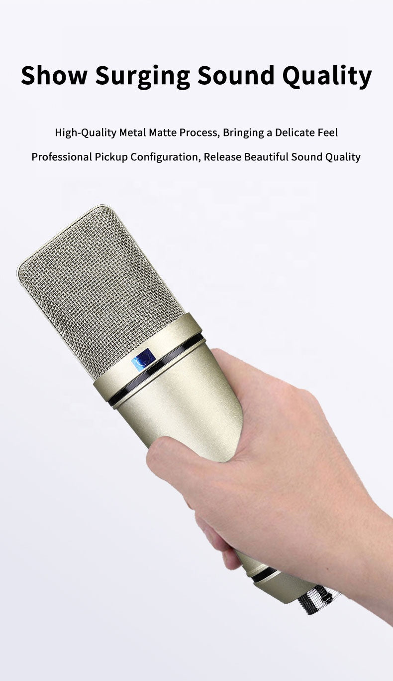 Professional Studio Large Condenser Microphone