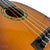 Kalena ABS Pineapple 23” Concert Ukulele with padded case - Kalena Instruments / Rosewood ABS