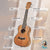 Kalena LM series Concert Mahogany Ukulele with Celluloid Binding Traditional complete set