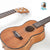 Kalena LM series Concert Mahogany Ukulele with Celluloid Binding Traditional complete set