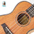 Kalena LM series Concert Mahogany Ukulele with Celluloid Binding Traditional complete set