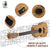 Kalena Tenor Zebrawood Ukulele with EQ Pickup Complete Set