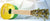 Kalena ABS Pineapple 23” Concert Ukulele with padded case - Kalena Instruments / Yellow Pineapple ABS