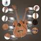 Kalena SA1-26FX Tenor All Solid Acacia Ukulele with FX Complete Set