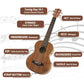 Kalena Concert Longneck Solid Acacia Top Ukulele with Maple binding Complete Set